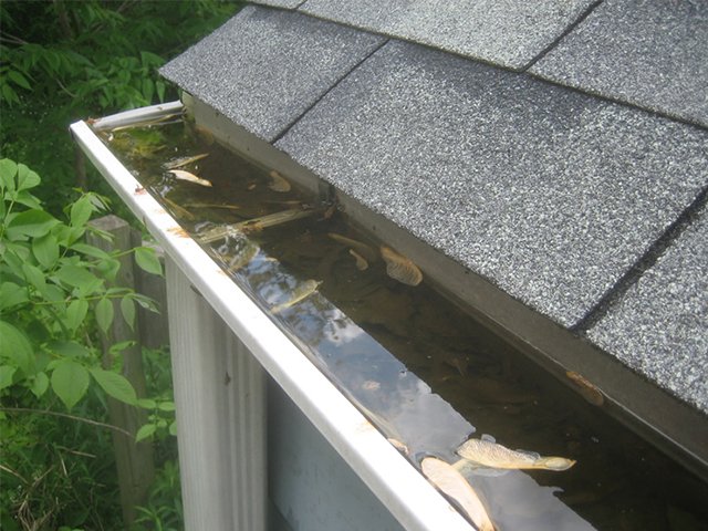 City Roofing NYC GutterLeaders | City Roofing Company NYC
